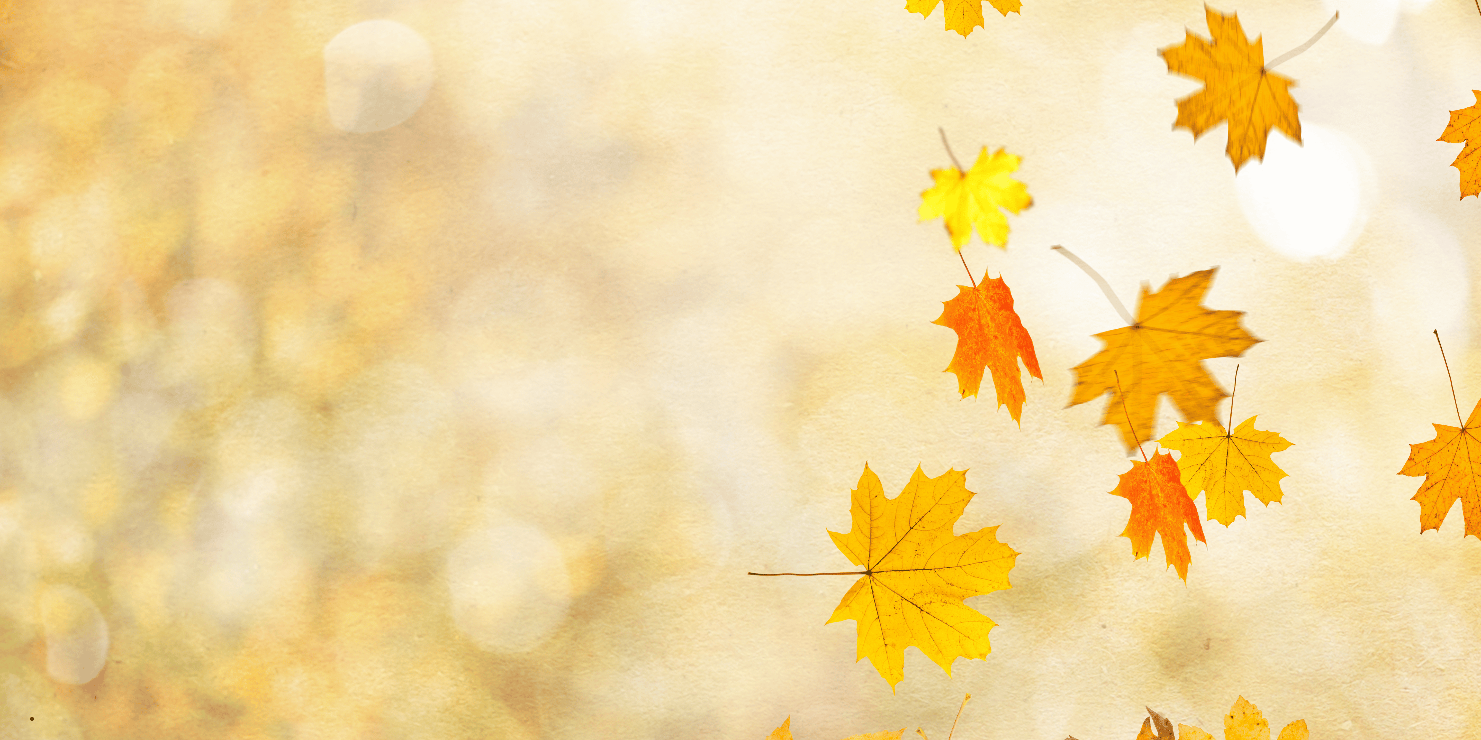Automne