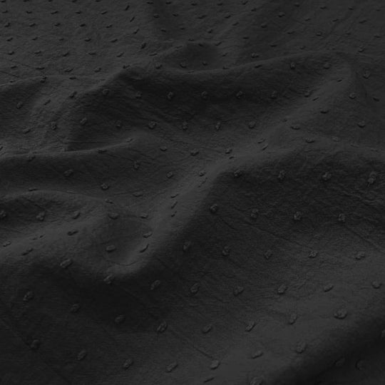 Plumetis noir